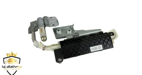 Door  Airbag-Rear (Vogue 2003-2009)