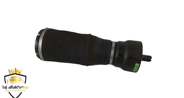 Air Spring-Rear (Vogue 2013-2017)