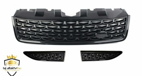 Show Grille & Side Vents (Discovery Sport 2015-2019)