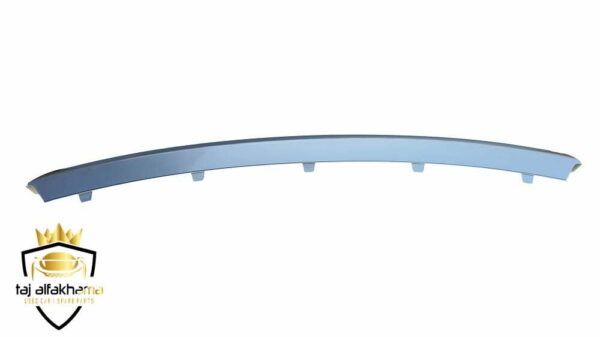 Front Bumper-Center Cover (Vogue 2010-2012) (1)