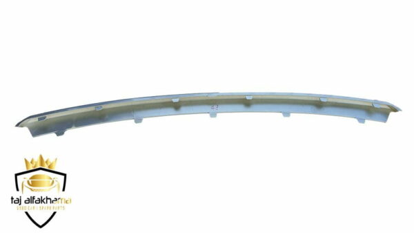 Front Bumper-Center Cover (Vogue 2010-2012) (2)
